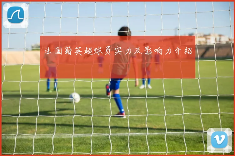 法国籍英超球员实力及影响力介绍