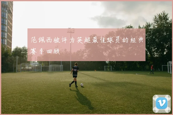 范佩西被评为英超最佳球员的经典赛季回顾