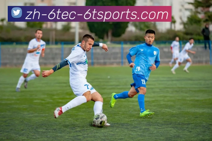 6T体育服务体系