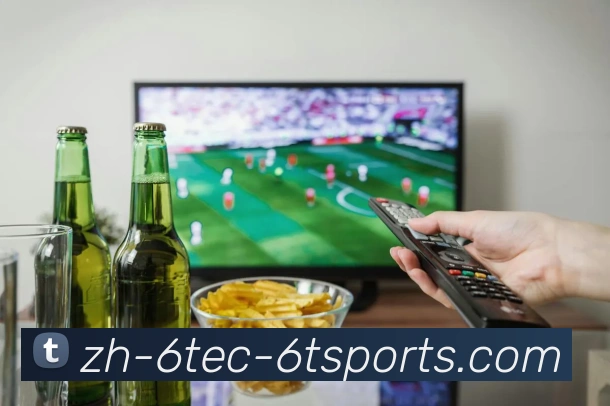 多媒体互动体验