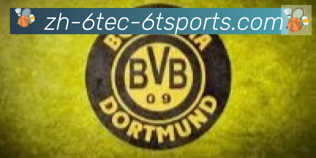 6t体育官方网站合作伙伴